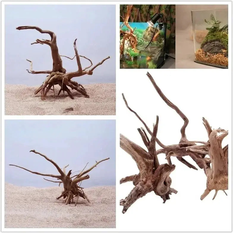 Natural Tree Trunk Driftwood | Wooden Aquarium Decor | 65g Weight | Single Unit
