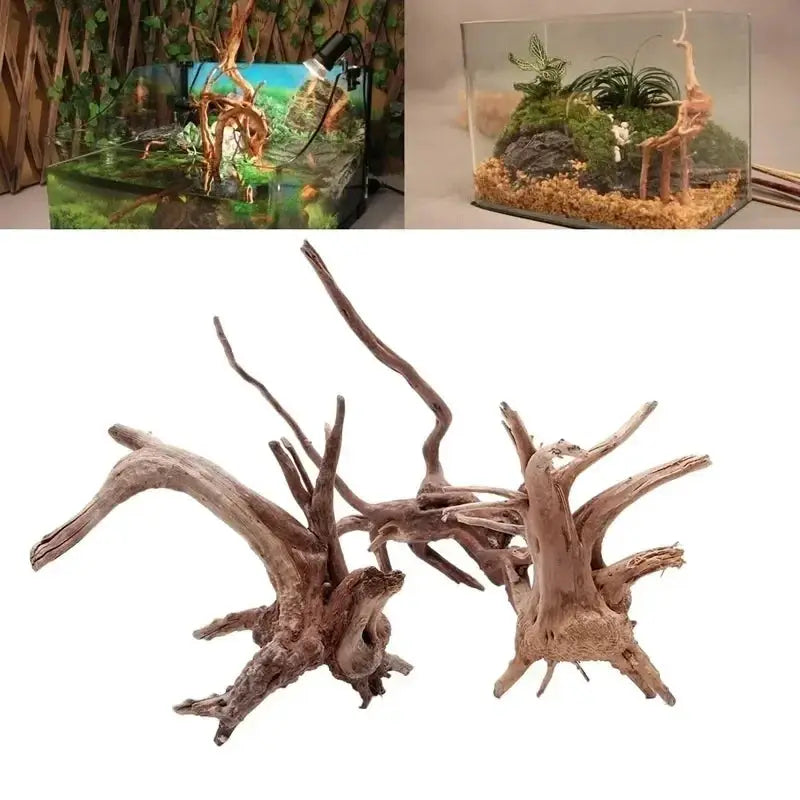Natural Tree Trunk Driftwood | Wooden Aquarium Decor | 65g Weight | Single Unit