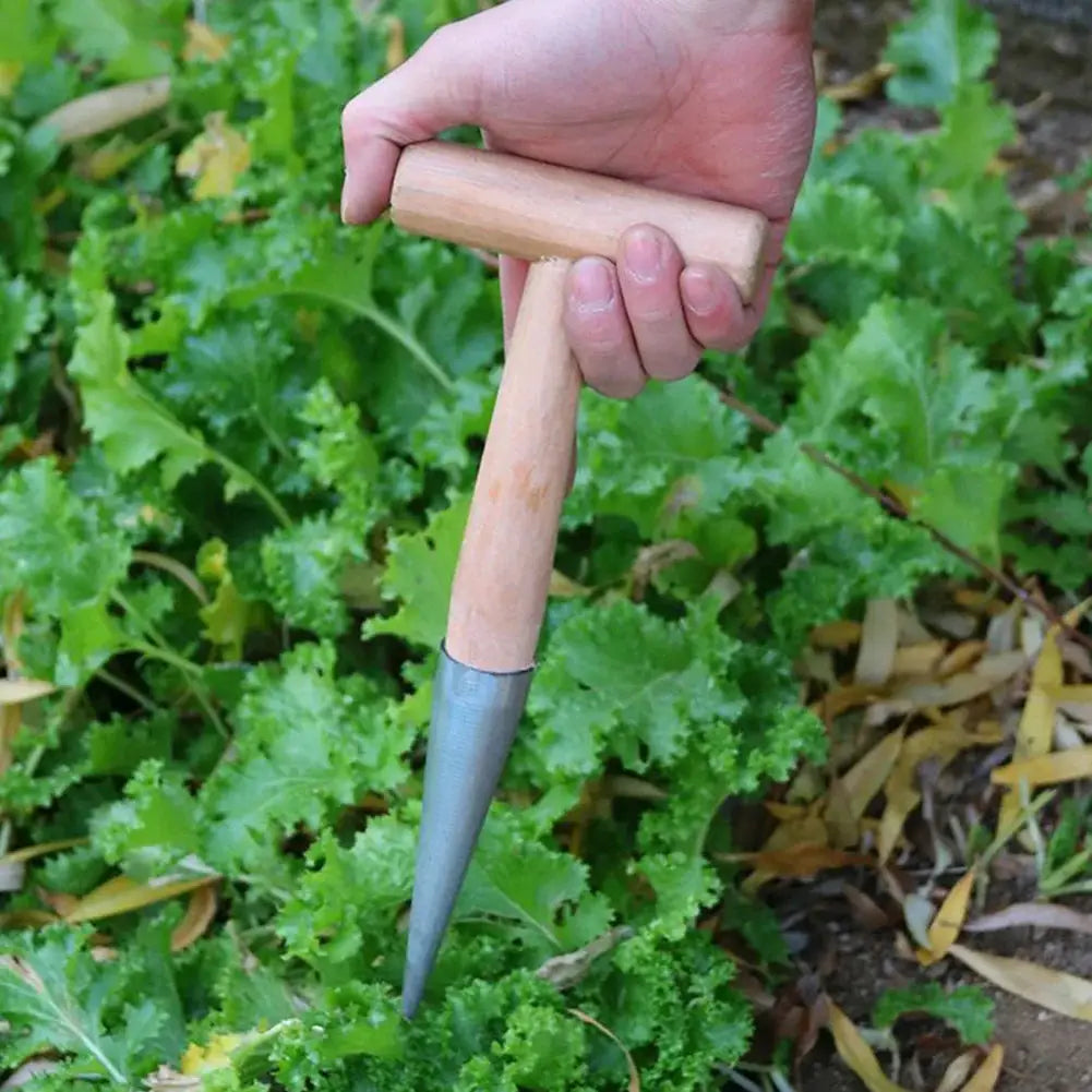 Hand Dibber Stainless Steel Seed Planter Tool With Wood Handle Seed Dibber for Transplanting Plants Planting Bulb Digging from PriceLows™