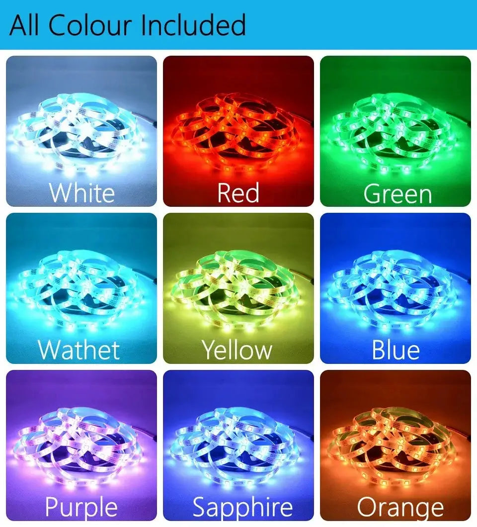 Wifi Led Strip Lights Bluetooth Music Led Tape Light 220V Alexa Led Lighting Strips Adhesive Led Strip 12v Rgb 5050 from PriceLows™
