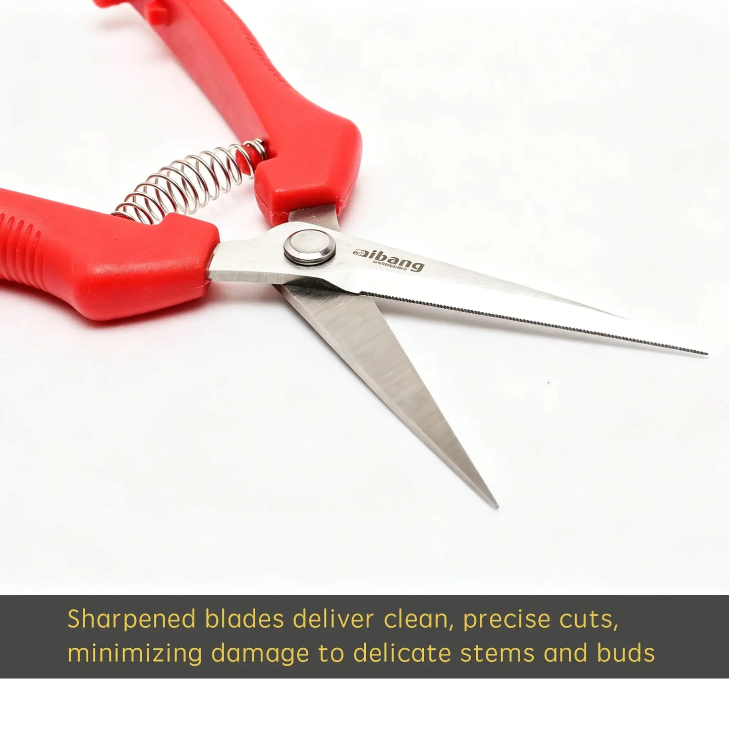 Stainless Steel Pruning Shears | Locking Blade | Grape Fruit Gardening