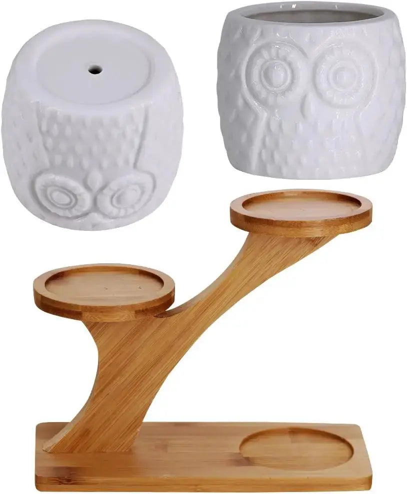 3Pcs Owl Succulent Pots with 3-Tier Bamboo Stand - White Ceramic Planters with Drainage, Modern Desk Decor from PriceLows™