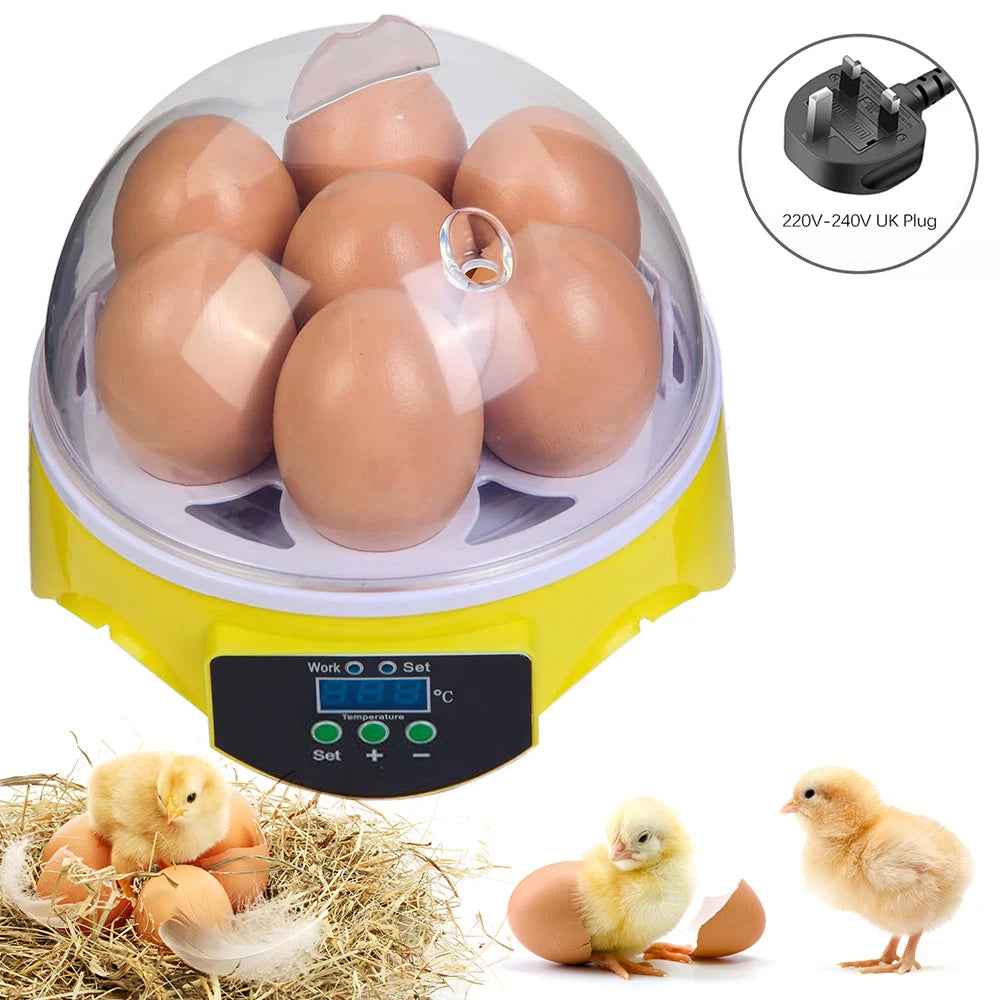 Egg Incubator | Automatic Constant Temperature | 7 Piece Set