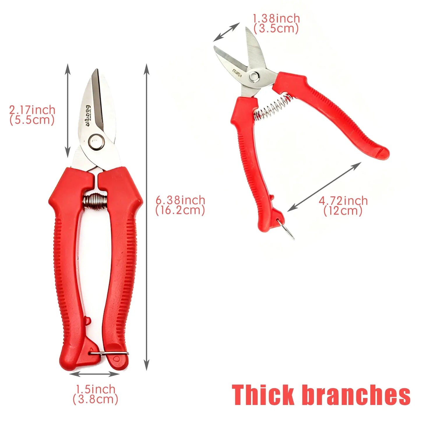 Stainless Steel Pruning Shears | Locking Blade | Grape Fruit Gardening