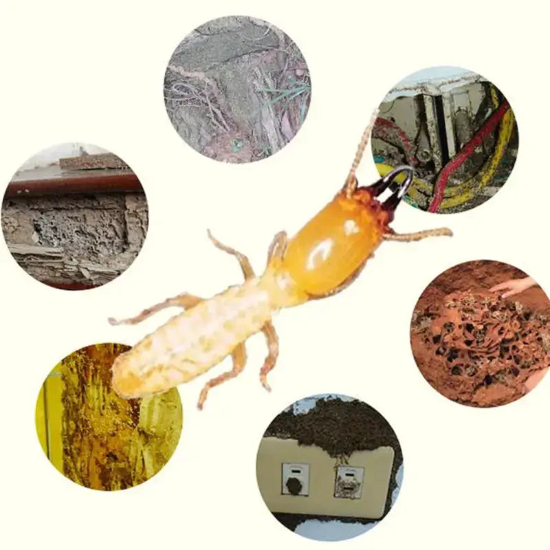 Termite Bait Station Garden Termite Bait Garden Insect Killer Pest Control Tool from PriceLows™