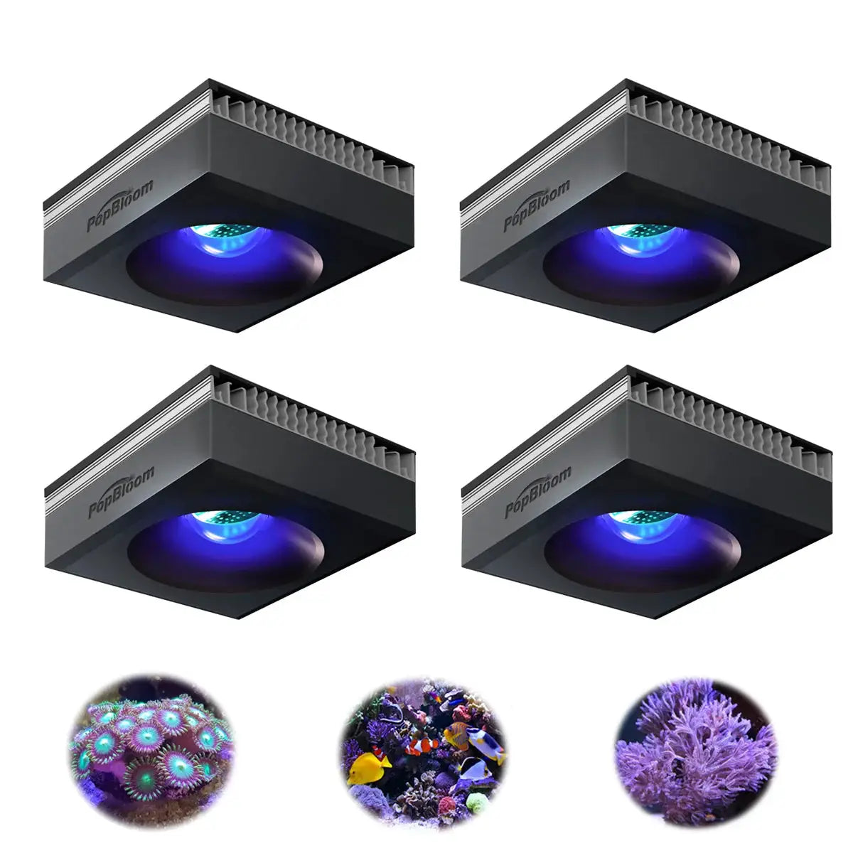 Led Aquarium Light | 400W Full Spectrum | App Control | 96 Inch Compatible