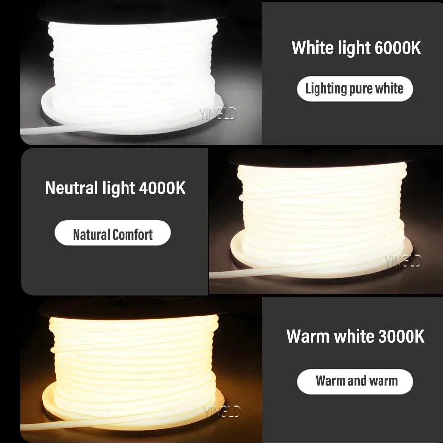 COB LED Strip Light | Dimmable Switch | 3000K/4000K/6000K | 288LED/M