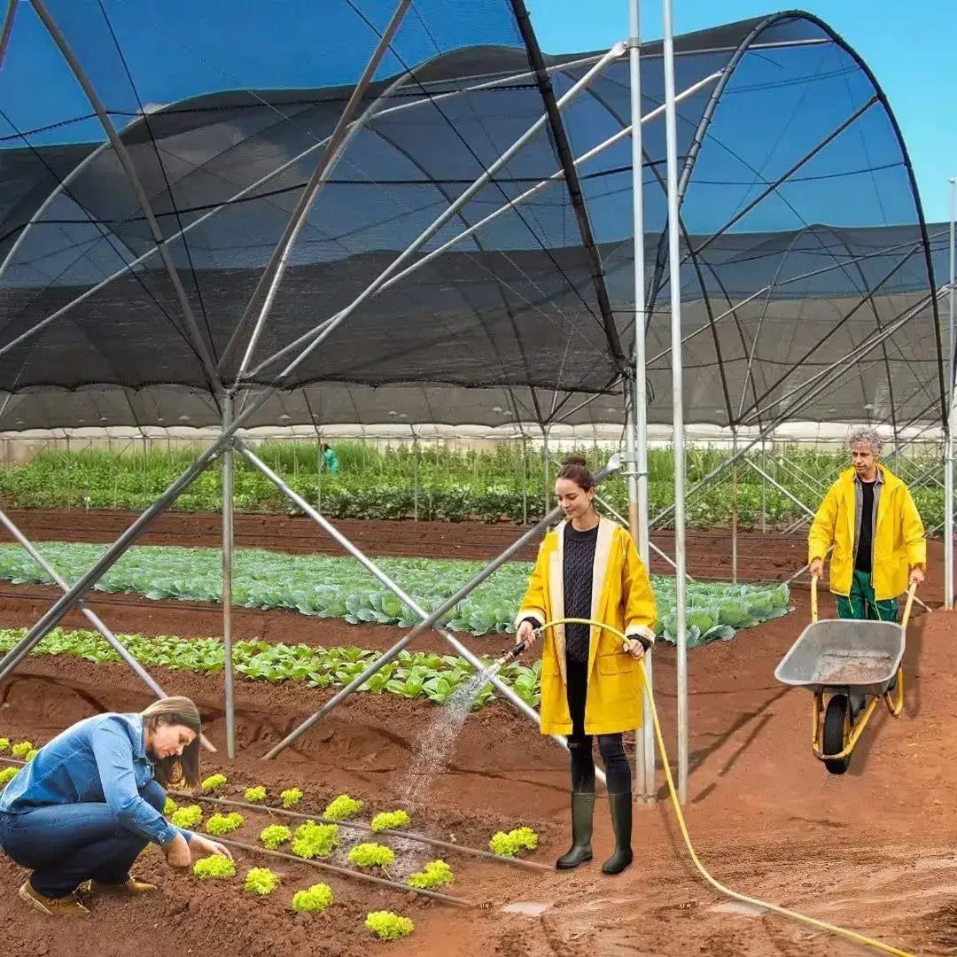 Shade Net | 12 Pin HDPE | Anti Uv | Black Green