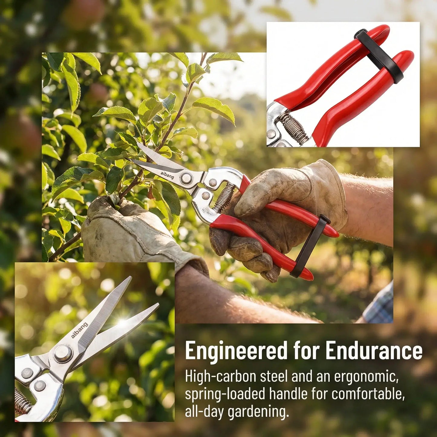 Stainless Steel Pruning Shears | Locking Blade | Grape Fruit Gardening