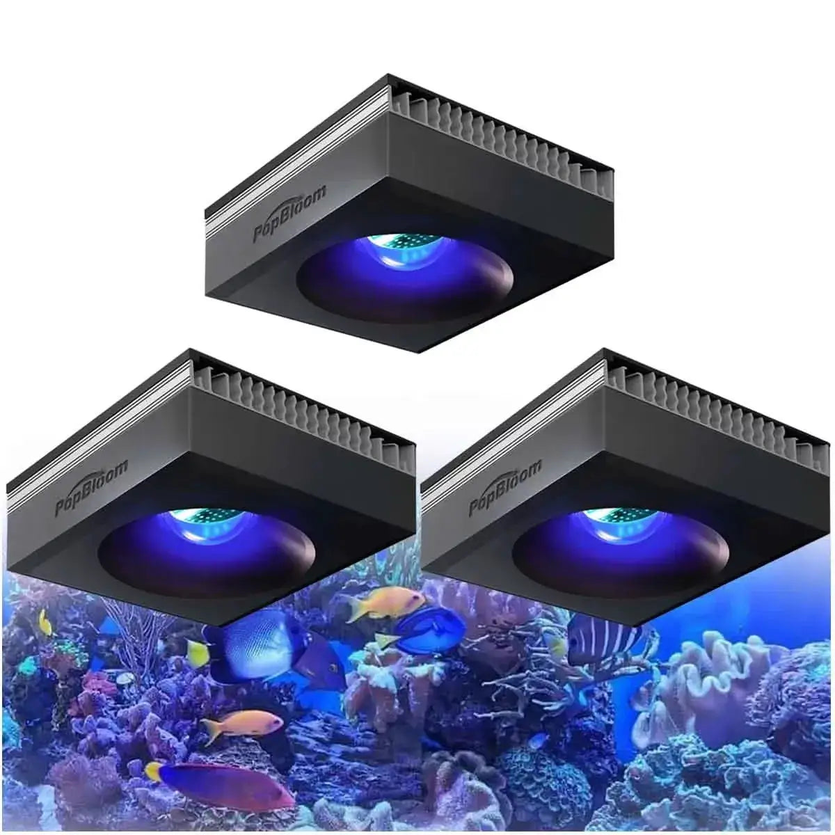 LED Reef Aquarium Light | 100W Full Spectrum | Clip On Mount
