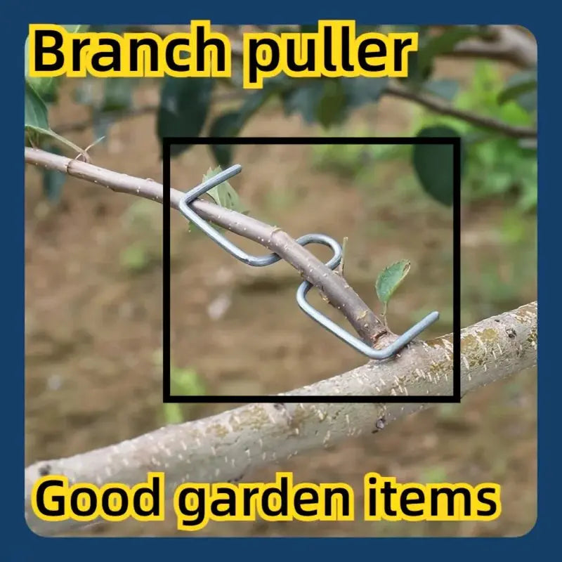 M-Type Tree Branch Puller | Hot Dip Galvanized Steel | 50Pc Pack