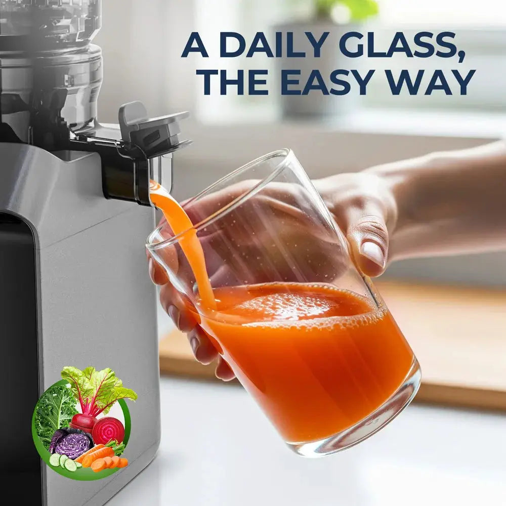 ROUNY Slow Juicer, Cold Press Extractor with Filter-Free, Easy Clean Electric Fruit Juicer Machine with Large Caliber, Black from PriceLows™