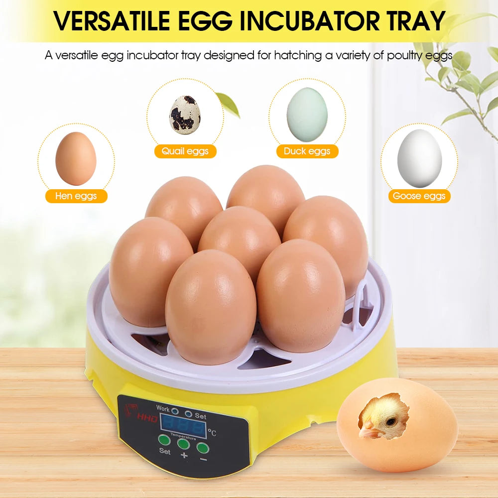 Egg Incubator | Automatic Constant Temperature | 7 Piece Set