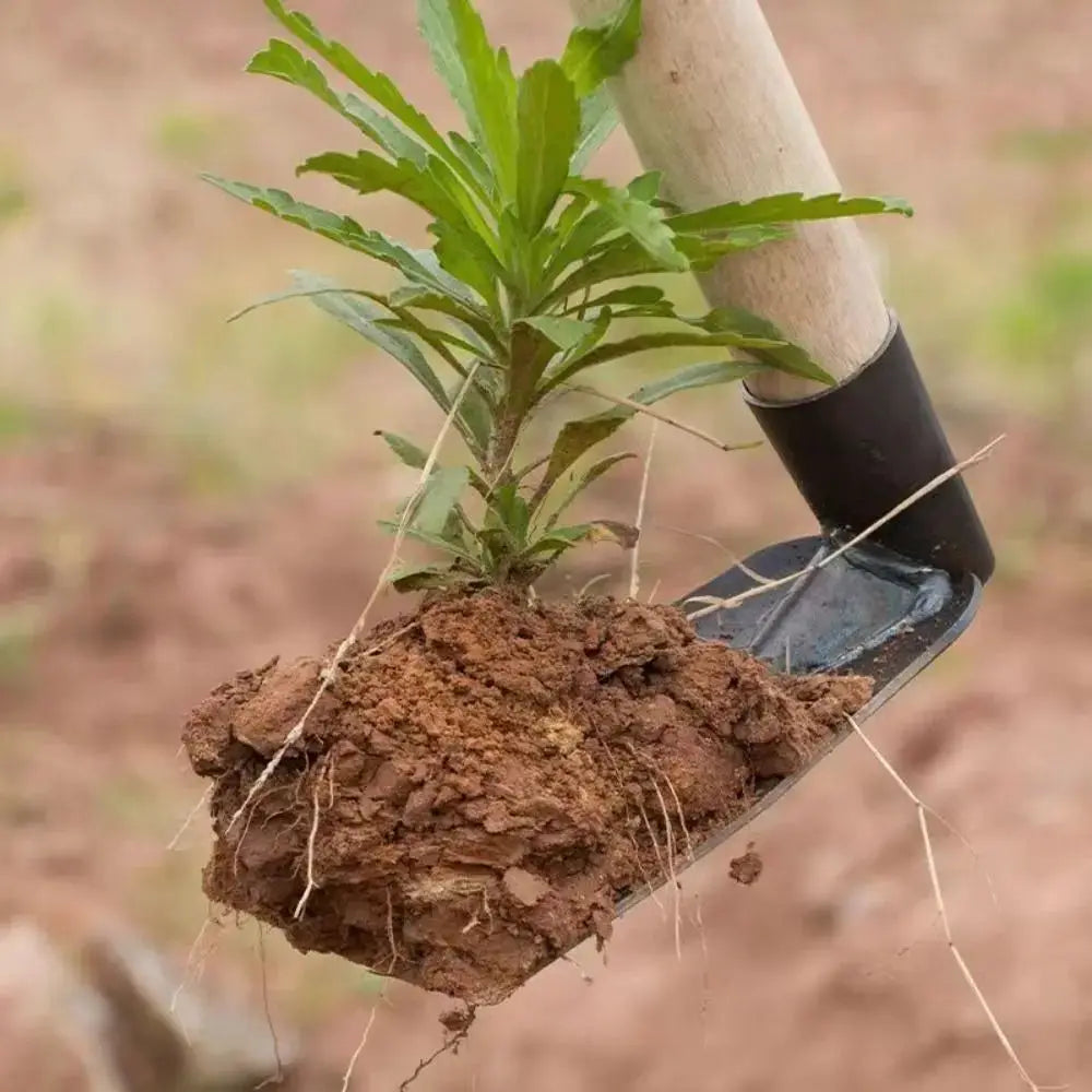 Durable Garden Hoe Household Outdoor Farming Tools Forging Weeding Hoe for Digging Soil Planting Vegetables Flowers from PriceLows™