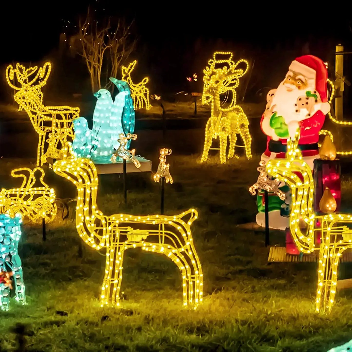 39FT 100LED Solar Rope Lights, Solar Powered Fairy Lights with 8 Lighting Modes for Party Garden Yard Home Holiday Tree Decorati from PriceLows™