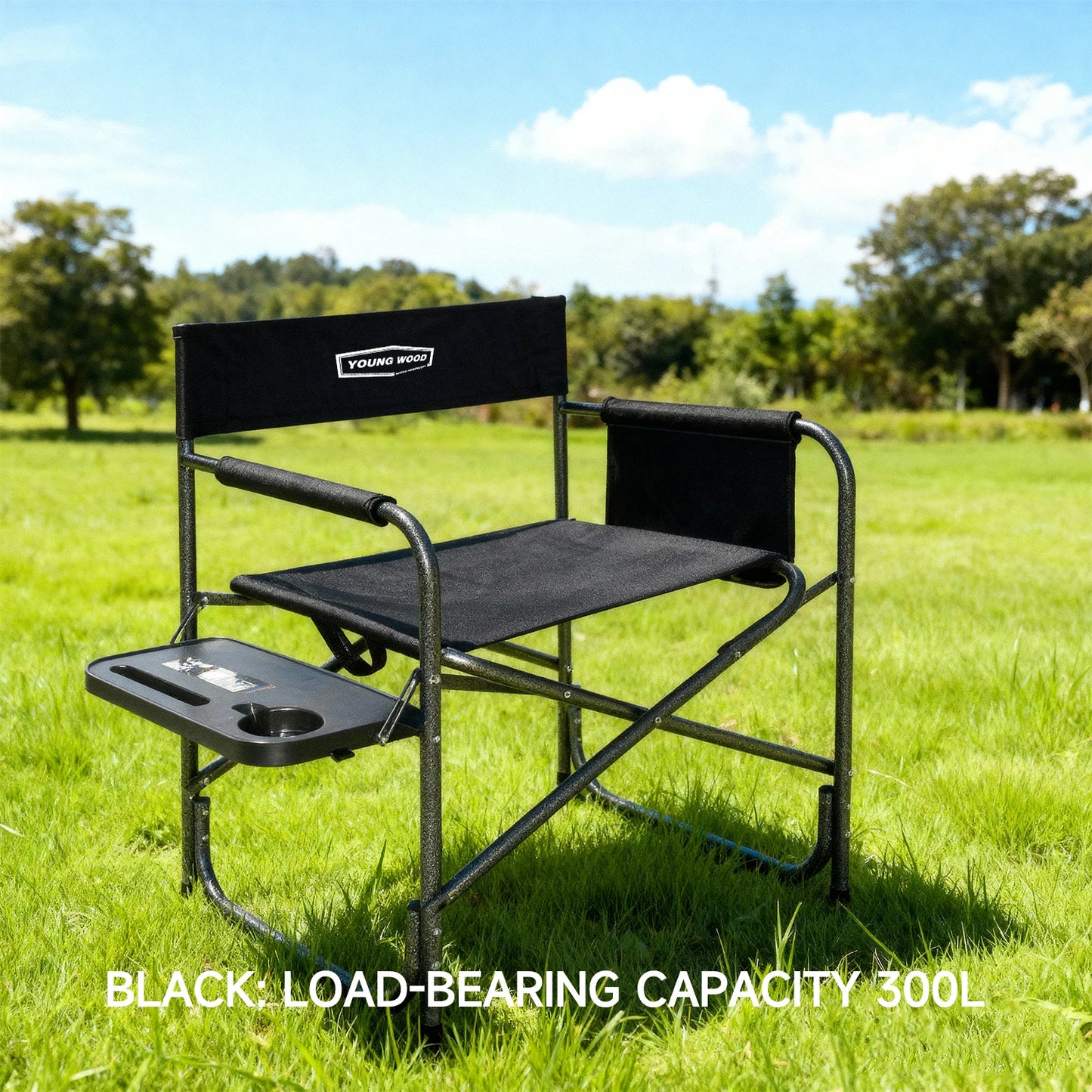 Camping Folding Chair | Lightweight | Foldable Iron Frame | One Size