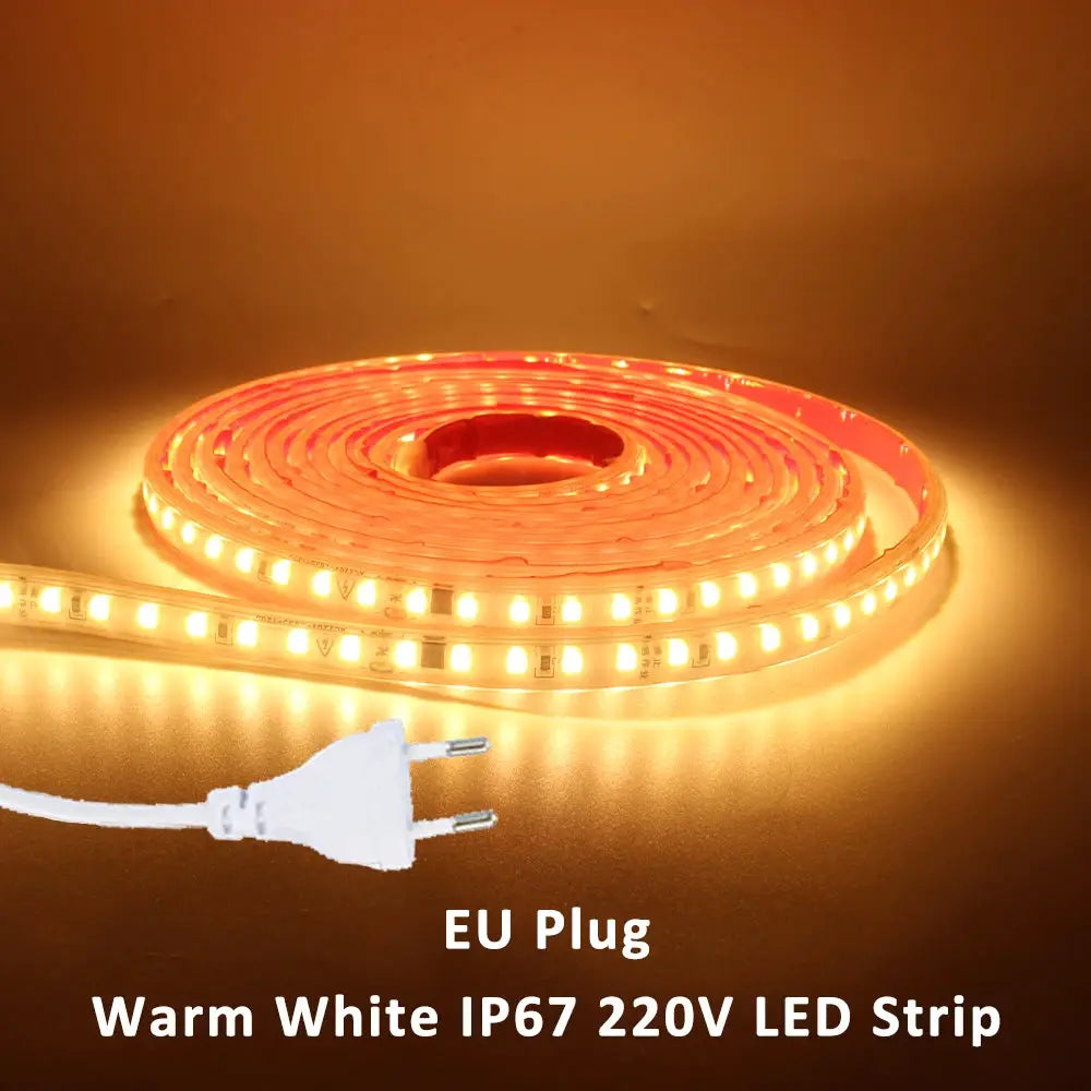 220V LED Strip Light SMD2835 120LEDs/m Waterproof Tape Lamp with EU Plug 1M 2M 3M 5M 10M 15M 20M Decor Lighting for the Yard from PriceLows™