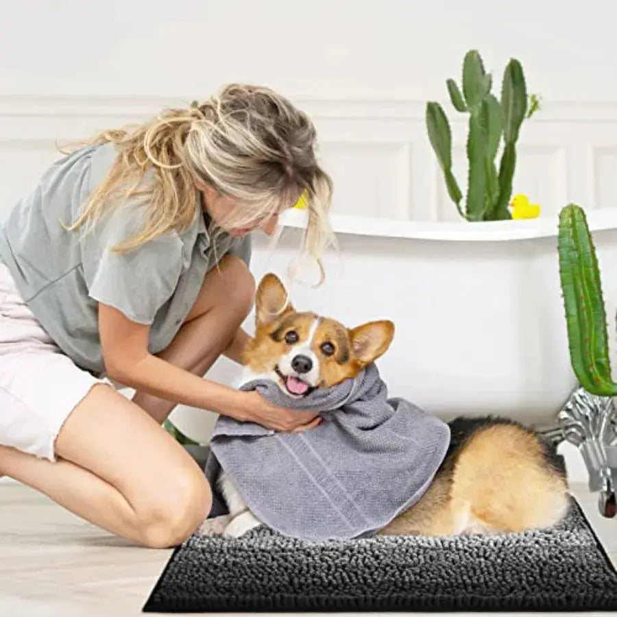 Bathroom Rug Set 2 Pcs Chenille Non Slip Bath Mat Set Absorbent Shower Rug and Bath Room Floor Mats Quick Dry Bathmat Bathroom from PriceLows™