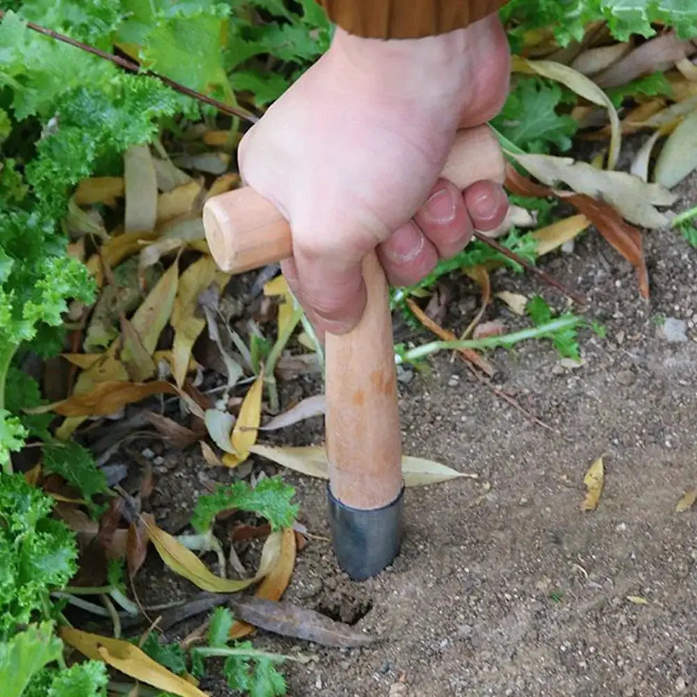 Hand Dibber Stainless Steel Seed Planter Tool With Wood Handle Seed Dibber for Transplanting Plants Planting Bulb Digging from PriceLows™