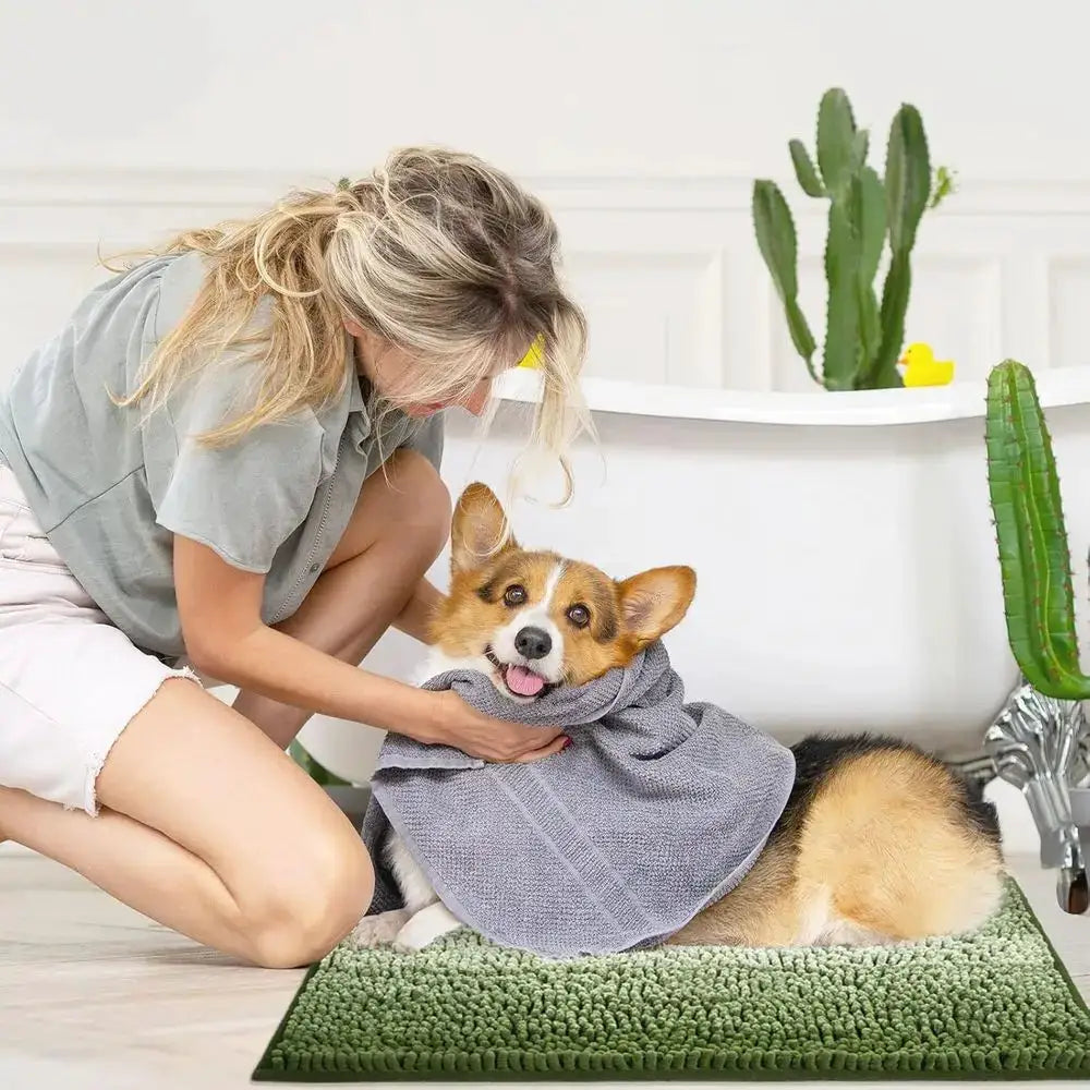Green Bathroom Rug Set 2 Piece, Chenille Non Slip Bath Mat Set, Absorbent Shower Rug and Bath Room loor Mats, Quick Dry Bathmat from PriceLows™