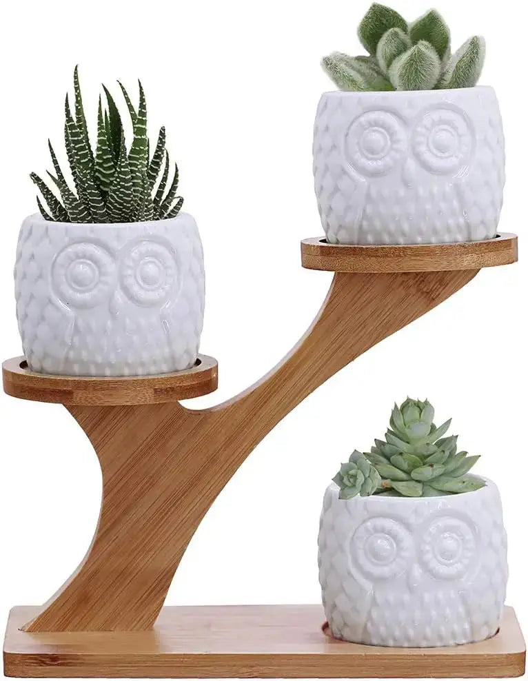3Pcs Owl Succulent Pots with 3-Tier Bamboo Stand - White Ceramic Planters with Drainage, Modern Desk Decor from PriceLows™