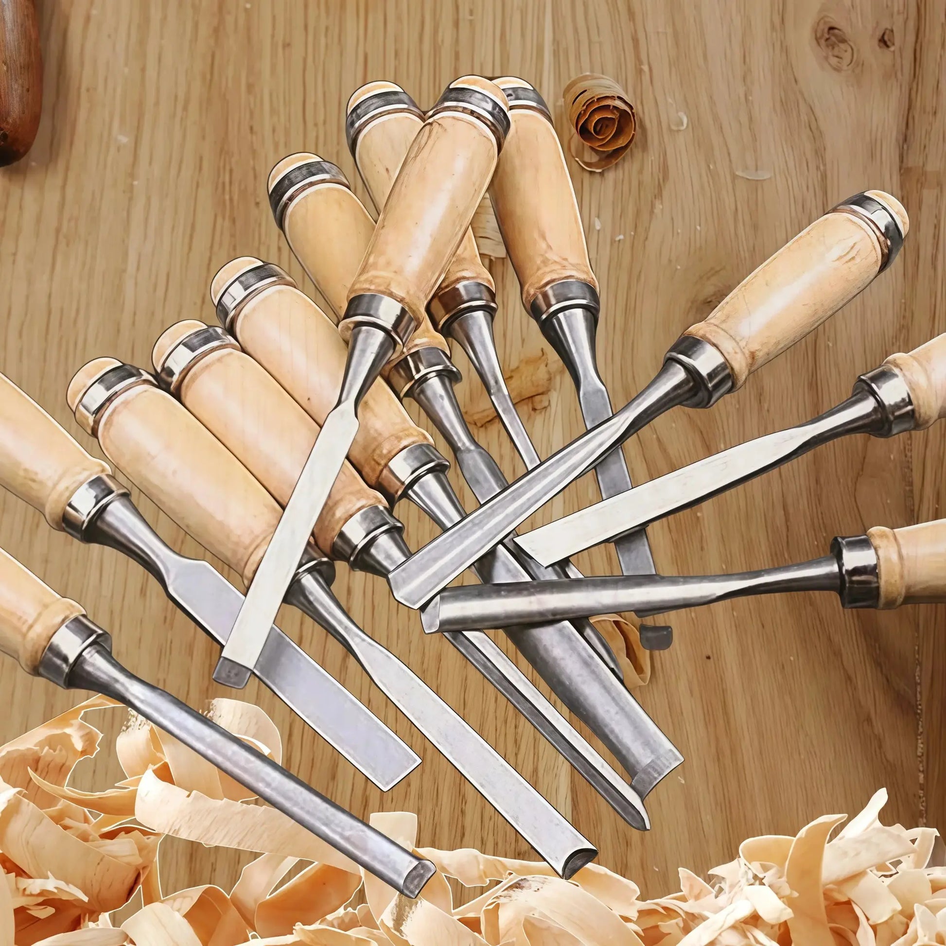12Pcs Wooden Carving Chisel Set, Woodworking Tools Set with Pouch, Full Size Knife Gouge Kit for Carving Projects Consruction An from PriceLows™