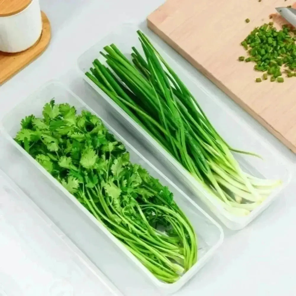 Rectangular Airtight Refrigerator Storage Containers Stackable Fresh-Keeping Transparent Boxes Kitchen Organizers for Fruits Veg from PriceLows™