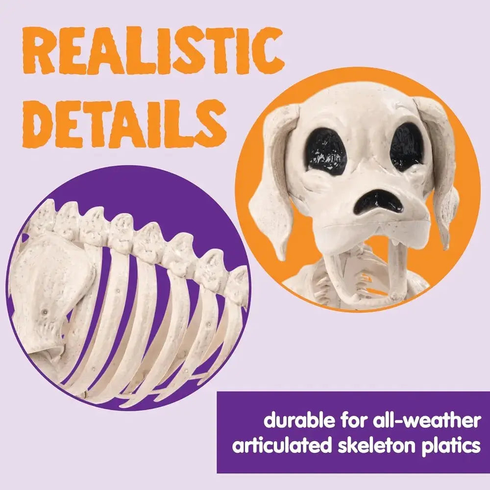 Halloween Dog Skeleton | Posable Joints | Full Body | 12.6 Inch