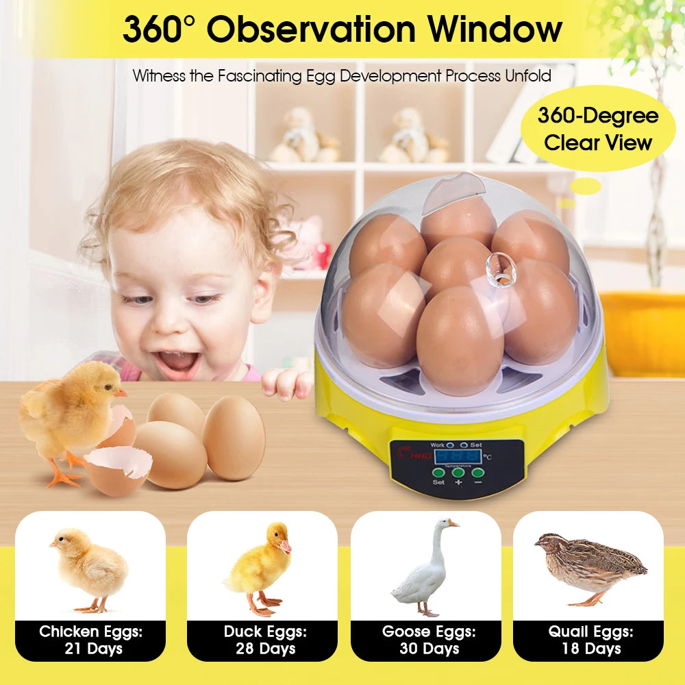 Egg Incubator | Automatic Constant Temperature | 7 Piece Set