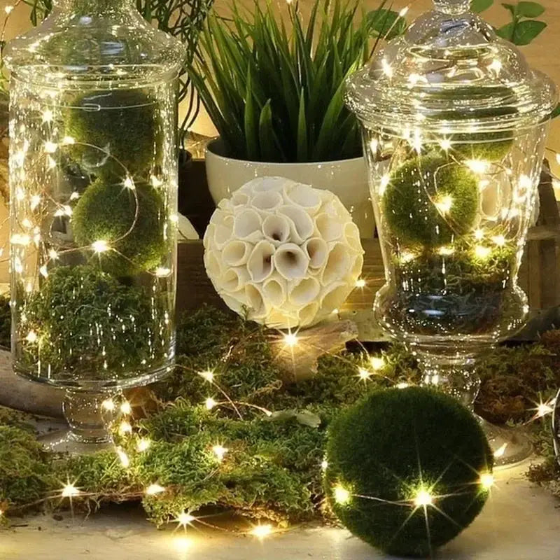 Fairy String Lights | Battery Powered | Warm White 50 LED | 3 Flash Modes
