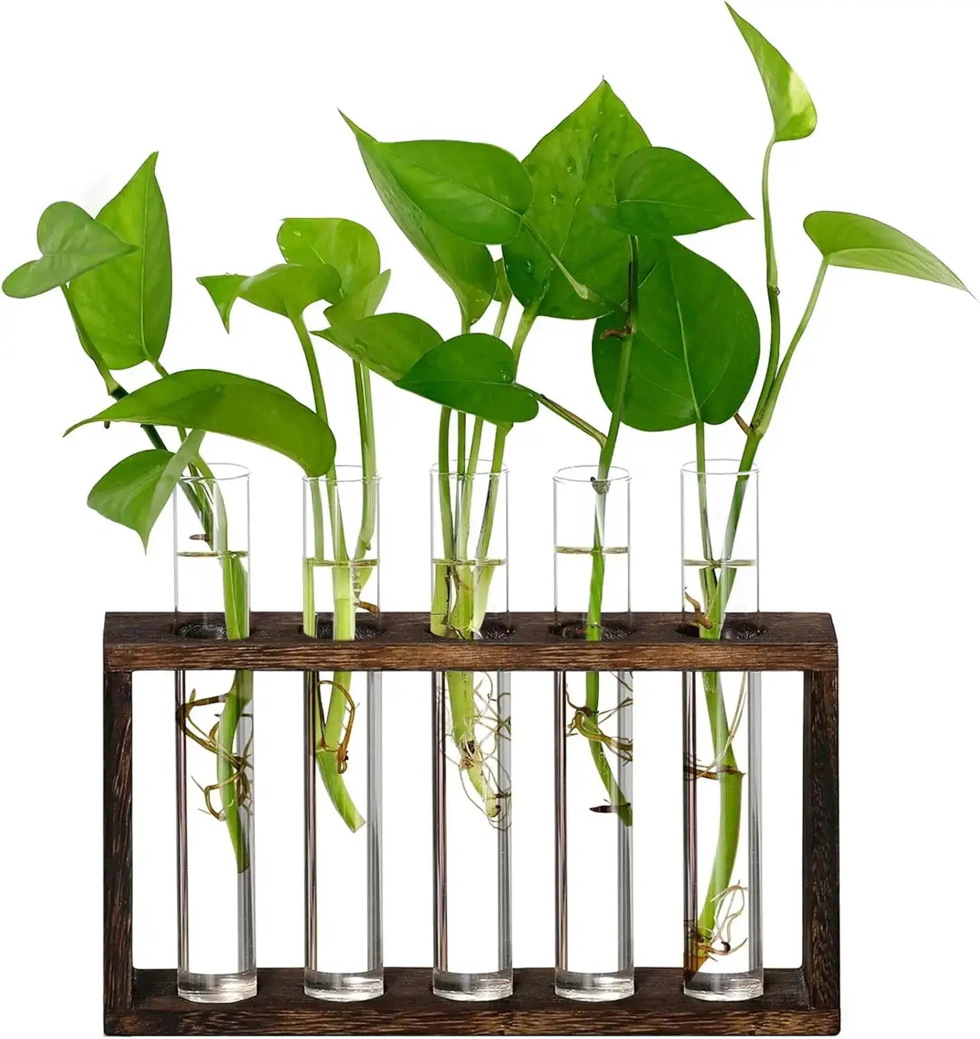 5-Tube Plant Propagation Station with Wooden Stand, Glass Planters for Indoor Plants, Garden Office Decor, Gift for Women from PriceLows™