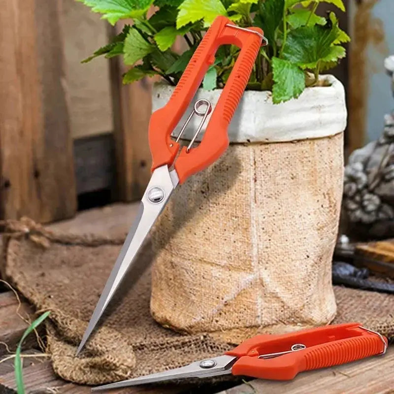 Pruning Shears Grape Scissors Garden Tool Vegetable Patch Bonsai Professional Stainless Steel Fruit Picking With Lock New from PriceLows™