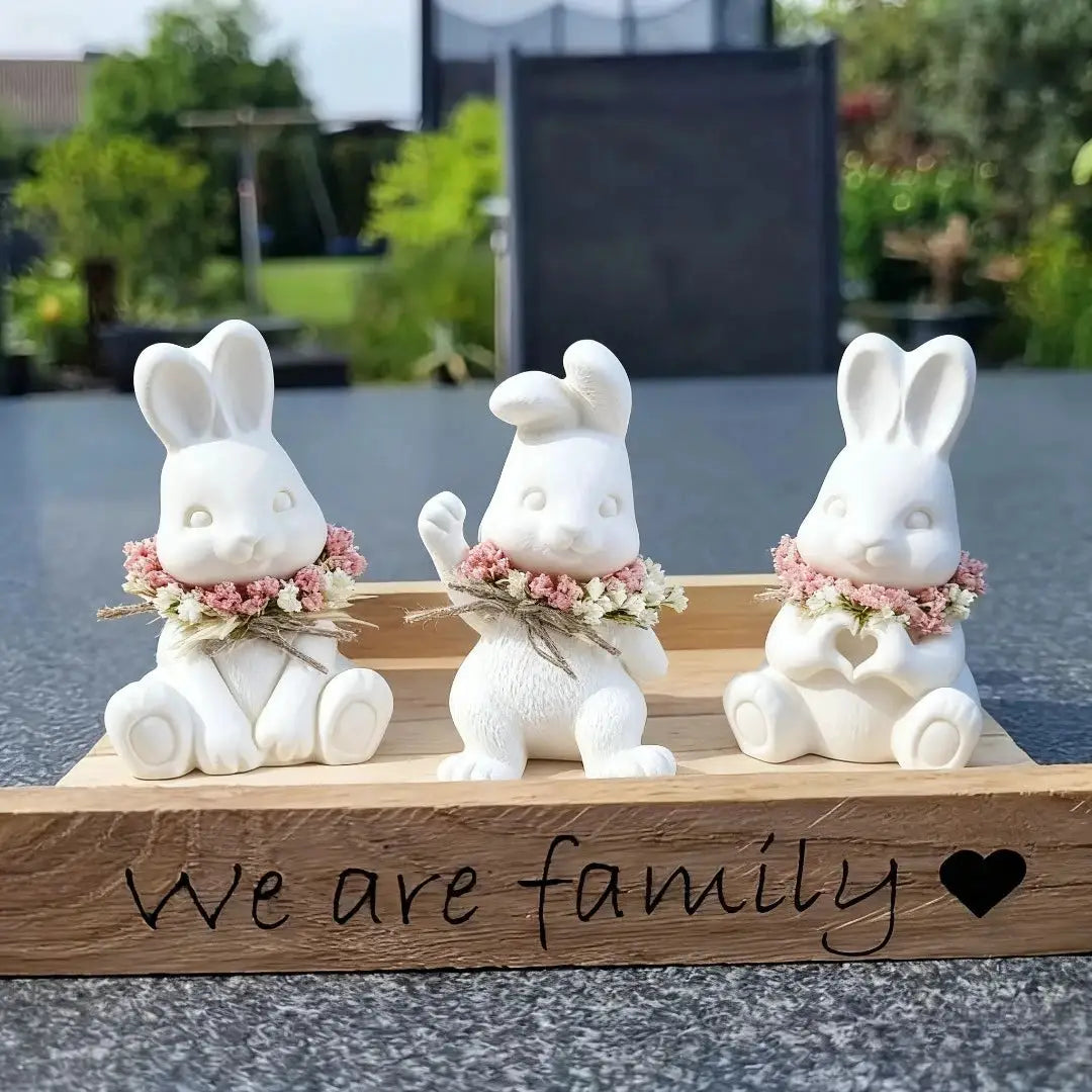Silicone Rabbit Mold Set | Resin Crafts | 3pc Shape Kit