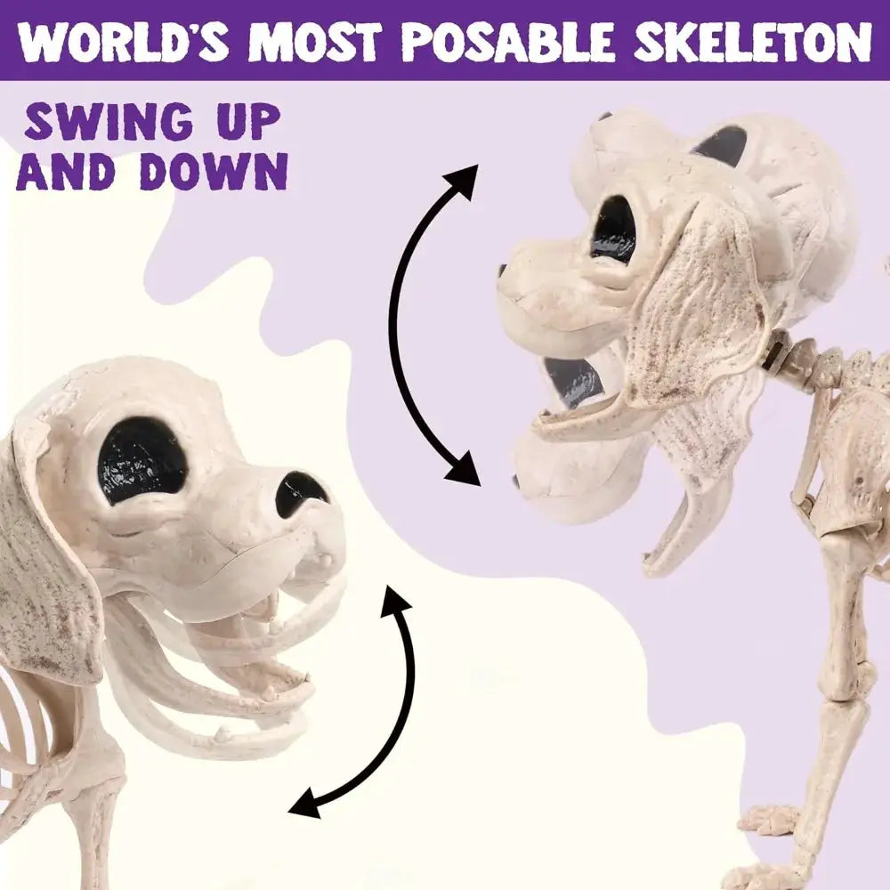 Halloween Dog Skeleton | Posable Joints | Full Body | 12.6 Inch