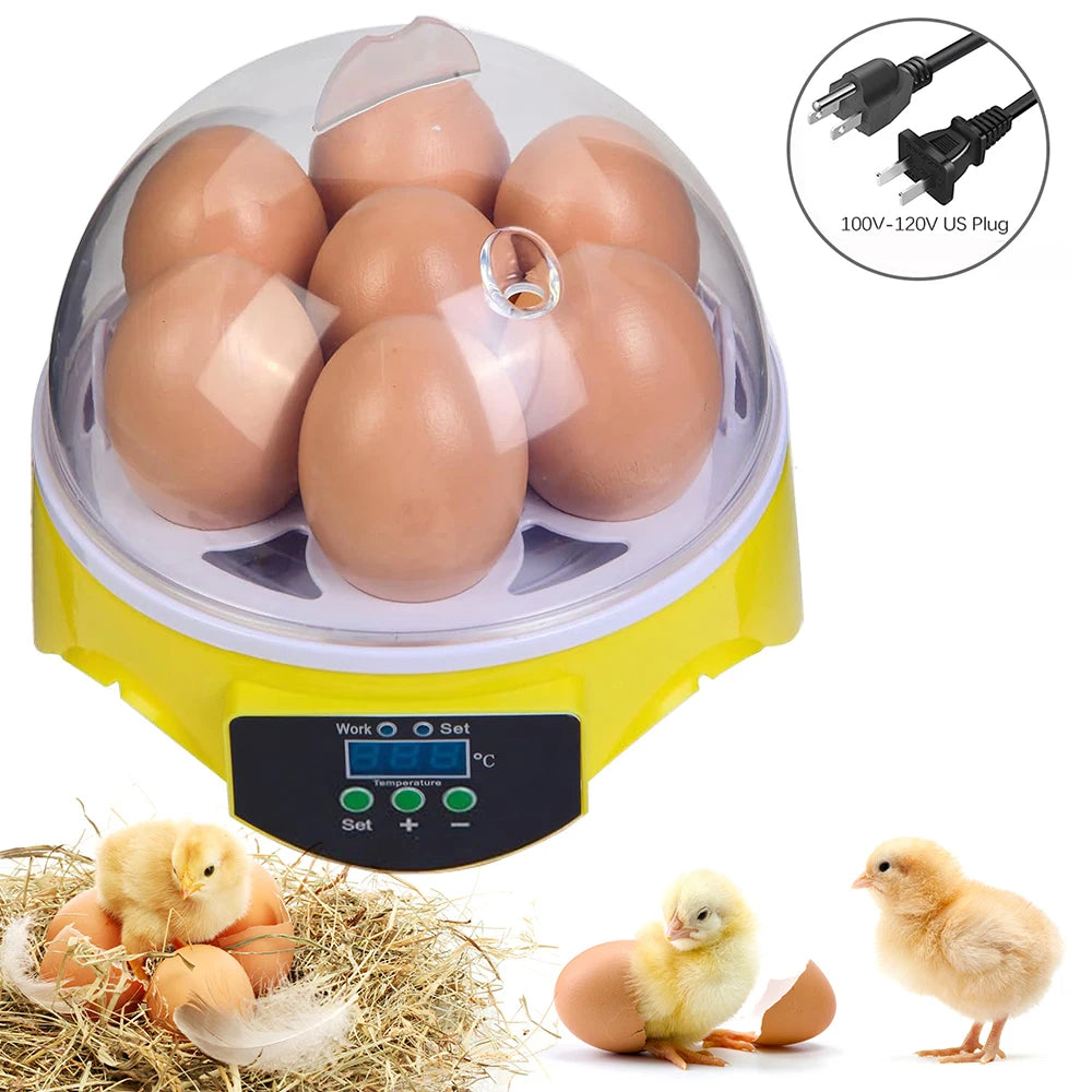 Egg Incubator | Automatic Constant Temperature | 7 Piece Set