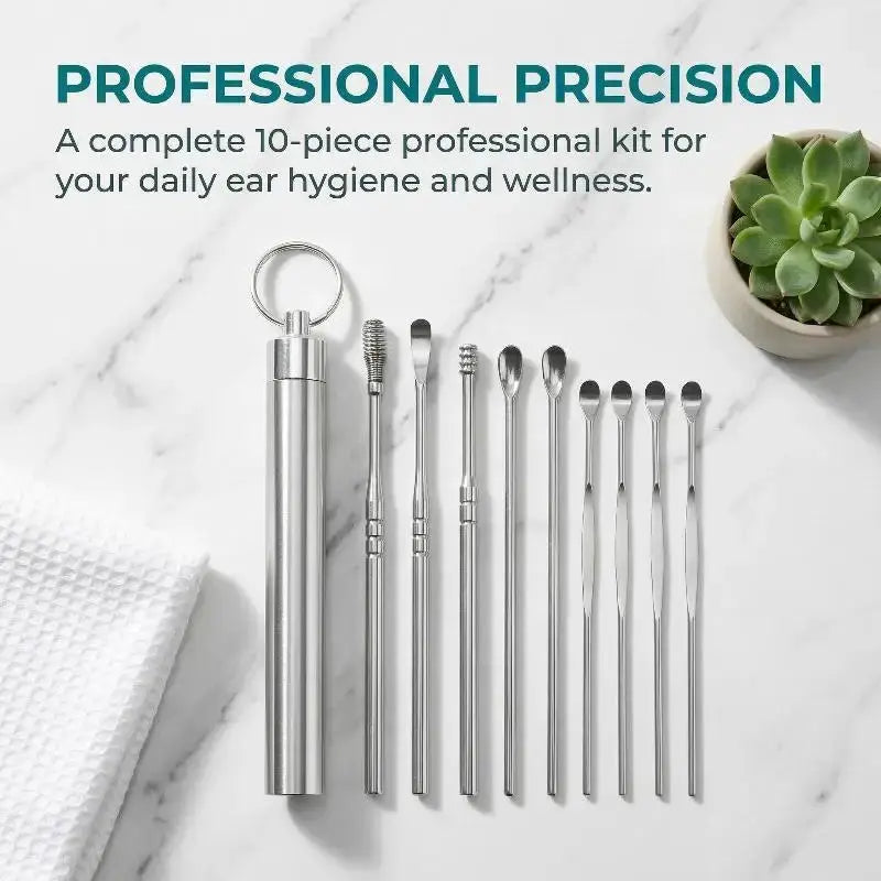 10Pcs/set Ear Wax Pickers Stainless Steel Earpick Wax Remover Care Ear Clean Tool Easy Carry from PriceLows™