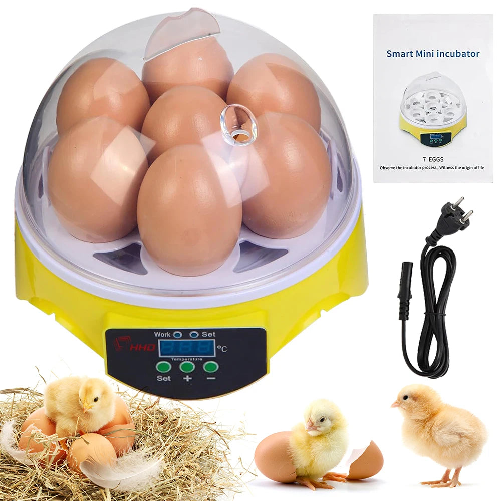 Egg Incubator | Automatic Constant Temperature | 7 Piece Set