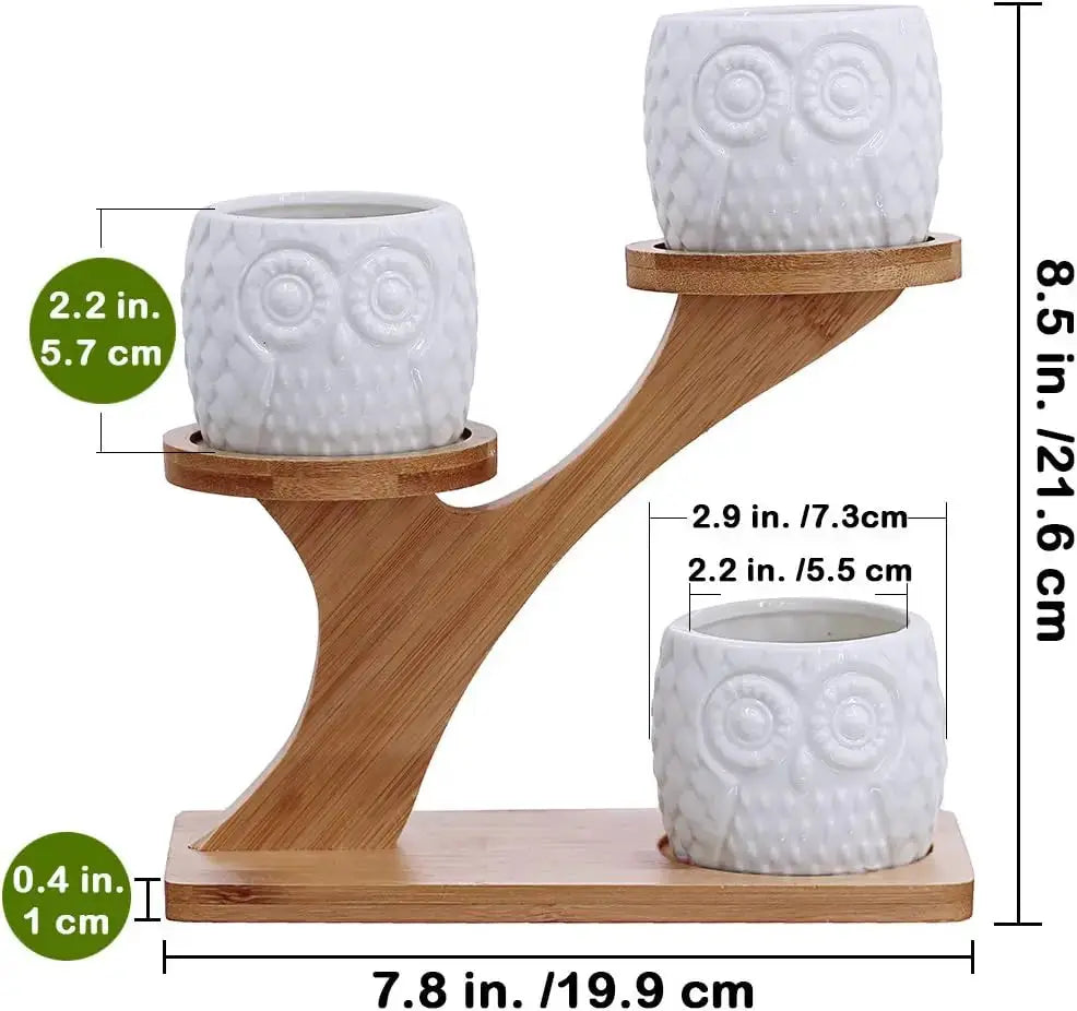 3Pcs Owl Succulent Pots with 3-Tier Bamboo Stand - White Ceramic Planters with Drainage, Modern Desk Decor from PriceLows™