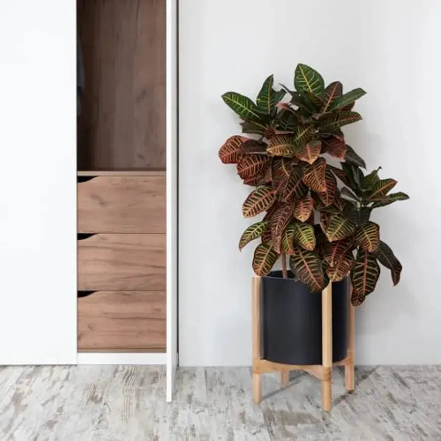 12 Inch Plastic Cylinder Planter Pot with Wooden Stand for Indoor Use Matte Black Pot + Natural Wood Holder Modern Decorative F from PriceLows™