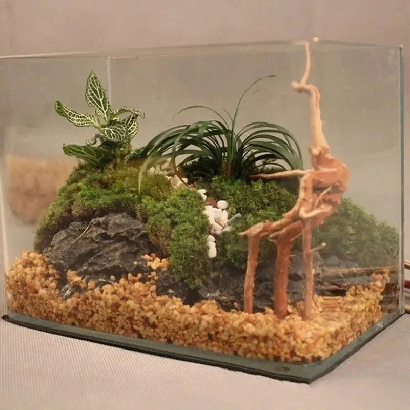 Natural Tree Trunk Driftwood | Wooden Aquarium Decor | 65g Weight | Single Unit