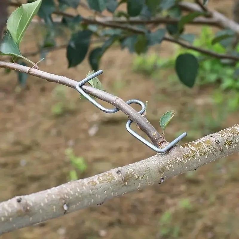 M-Type Tree Branch Puller | Hot Dip Galvanized Steel | 50Pc Pack