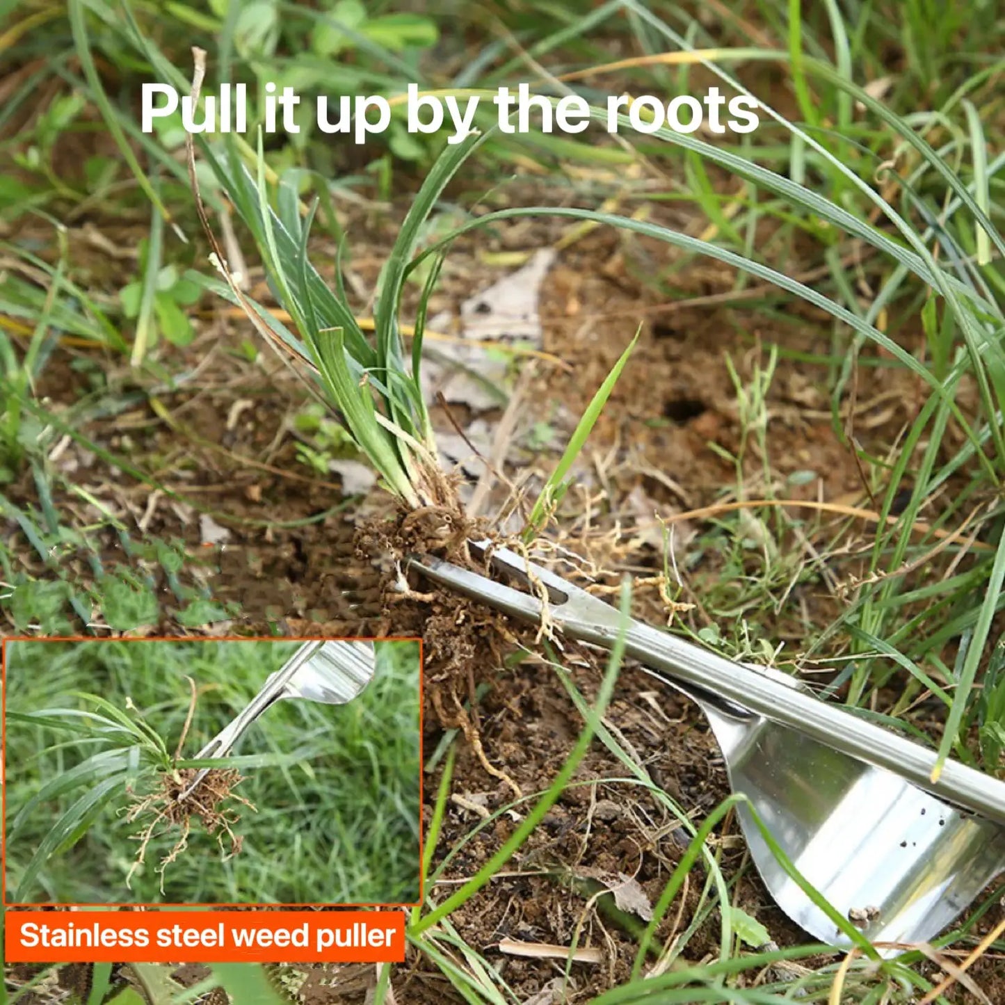 Wood Hand Weed Puller Tool For Root Removal With Garden Handle