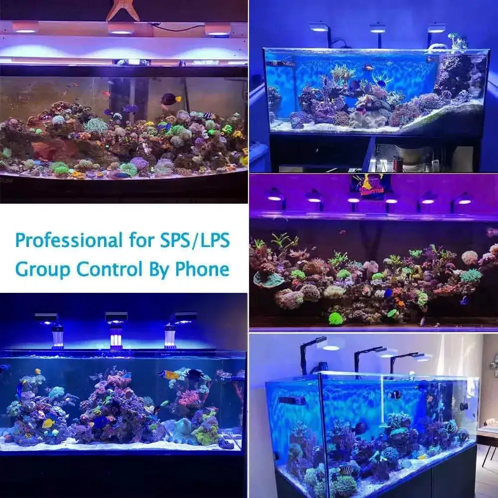LED Reef Aquarium Light | 100W Full Spectrum | Clip On Mount