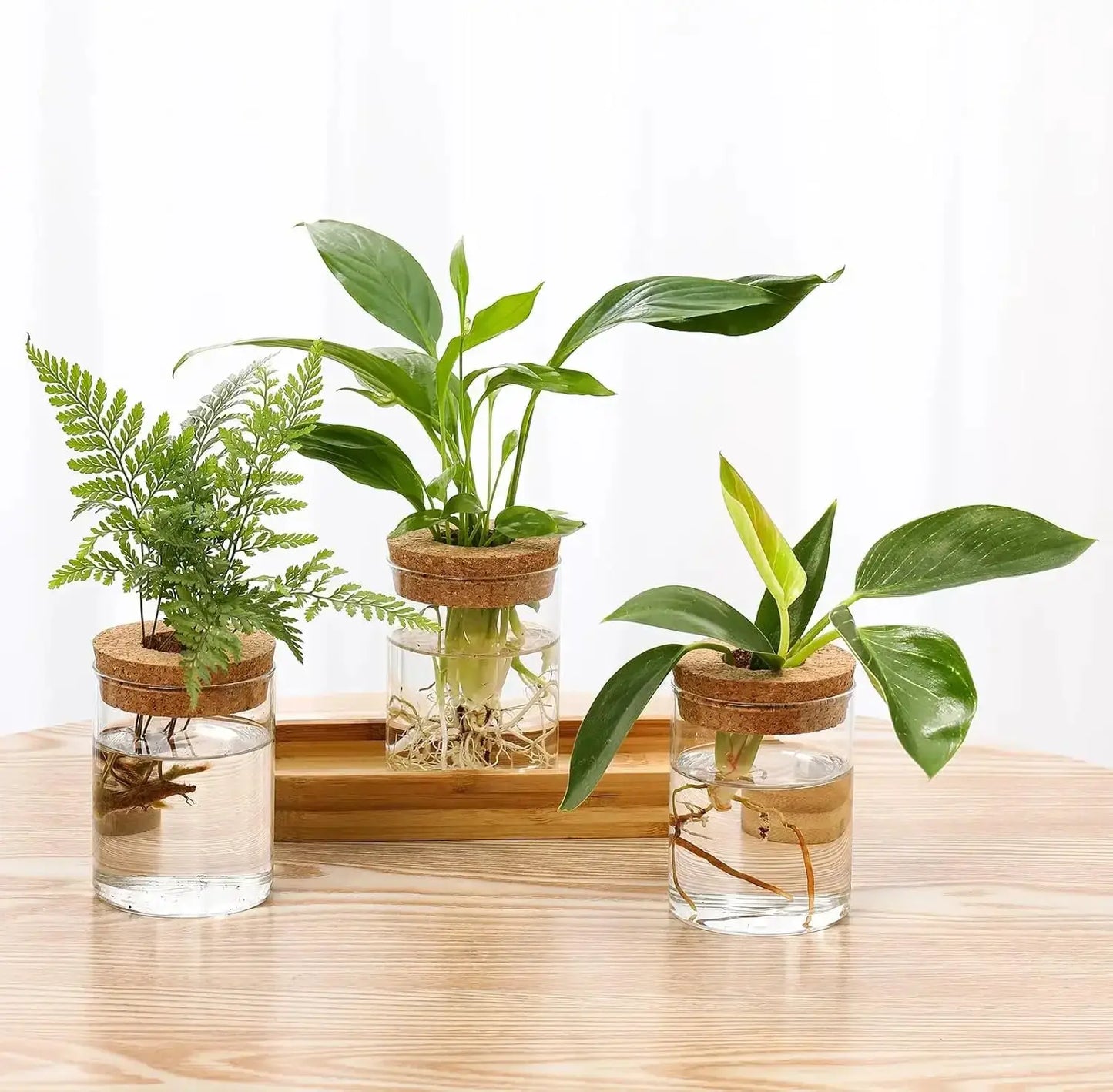 3Pcs Propagation Stations with Wooden Stand, Glass Planter Terrarium for Hydroponics, Desktop Home Office Decor from PriceLows™