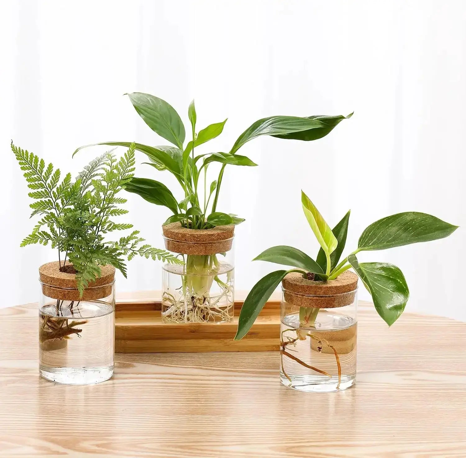 3Pcs Propagation Stations with Wooden Stand, Glass Planter Terrarium for Hydroponics, Desktop Home Office Decor from PriceLows™