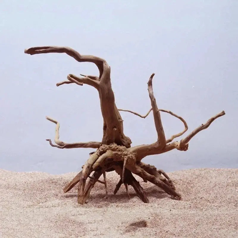 Natural Tree Trunk Driftwood | Wooden Aquarium Decor | 65g Weight | Single Unit