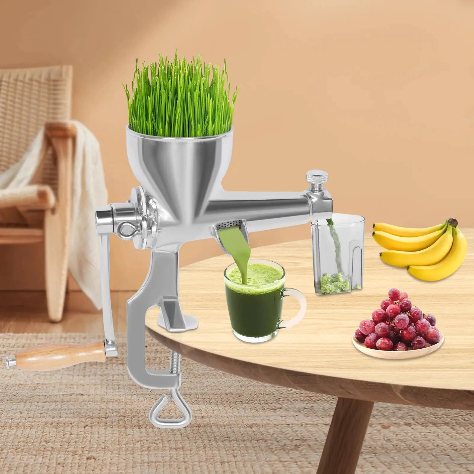 Fruit/Vegetable Squeezer Stainless Steel Manual Juicer with Screw Clamp Wheat grass Squeezed Fruit Vegetable Extrusion Silver from PriceLows™