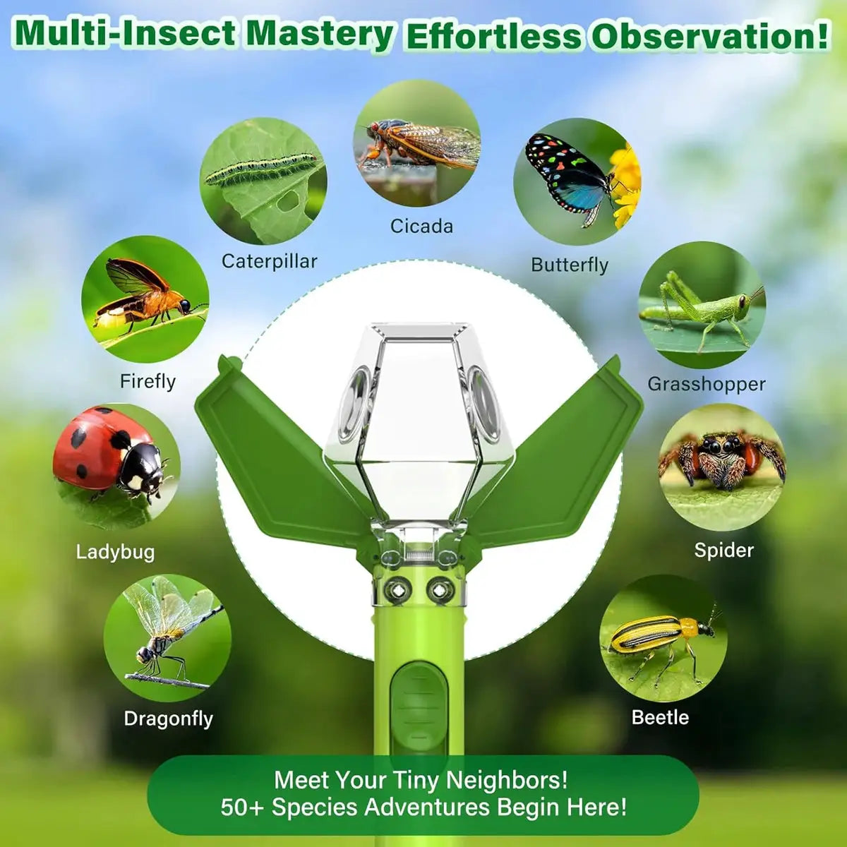 Handheld Portable Insect Trap Flies Garden and Vegetable Products Catch Insects Pest Control Hotel Bug Catcher Gadget Fly from PriceLows™