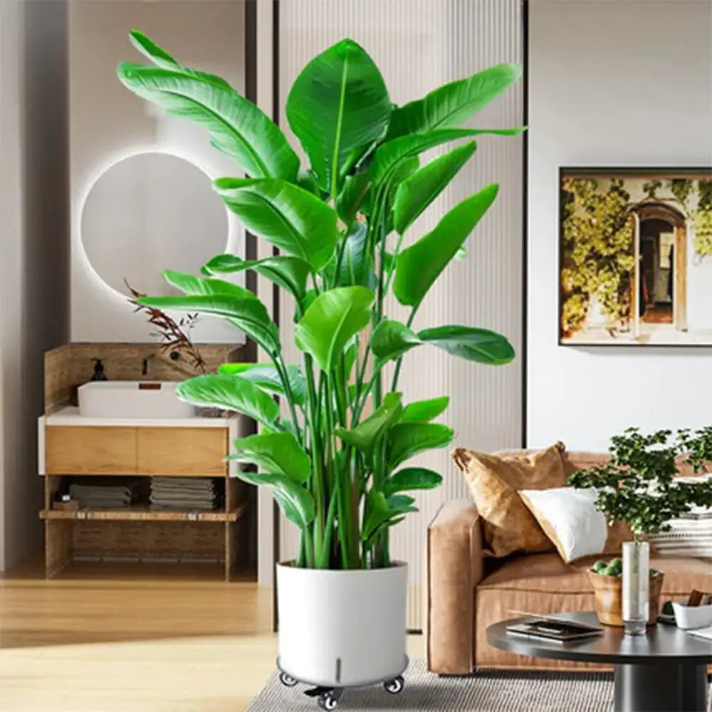 Plant Stand with Wheels,3.0mm Thick Aluminum Alloy Plant Caddy with Wheels Heavy Duty, Rolling Plant Stand Holds 12 Inch and from PriceLows™