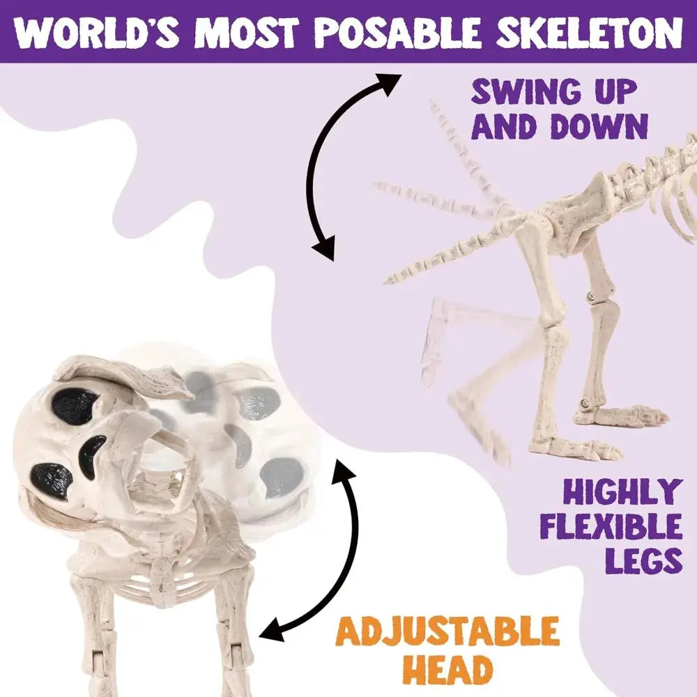 Halloween Dog Skeleton | Posable Joints | Full Body | 12.6 Inch